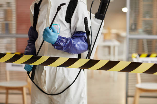 Professional Sewage Cleanup technician working in Englewood, NJ